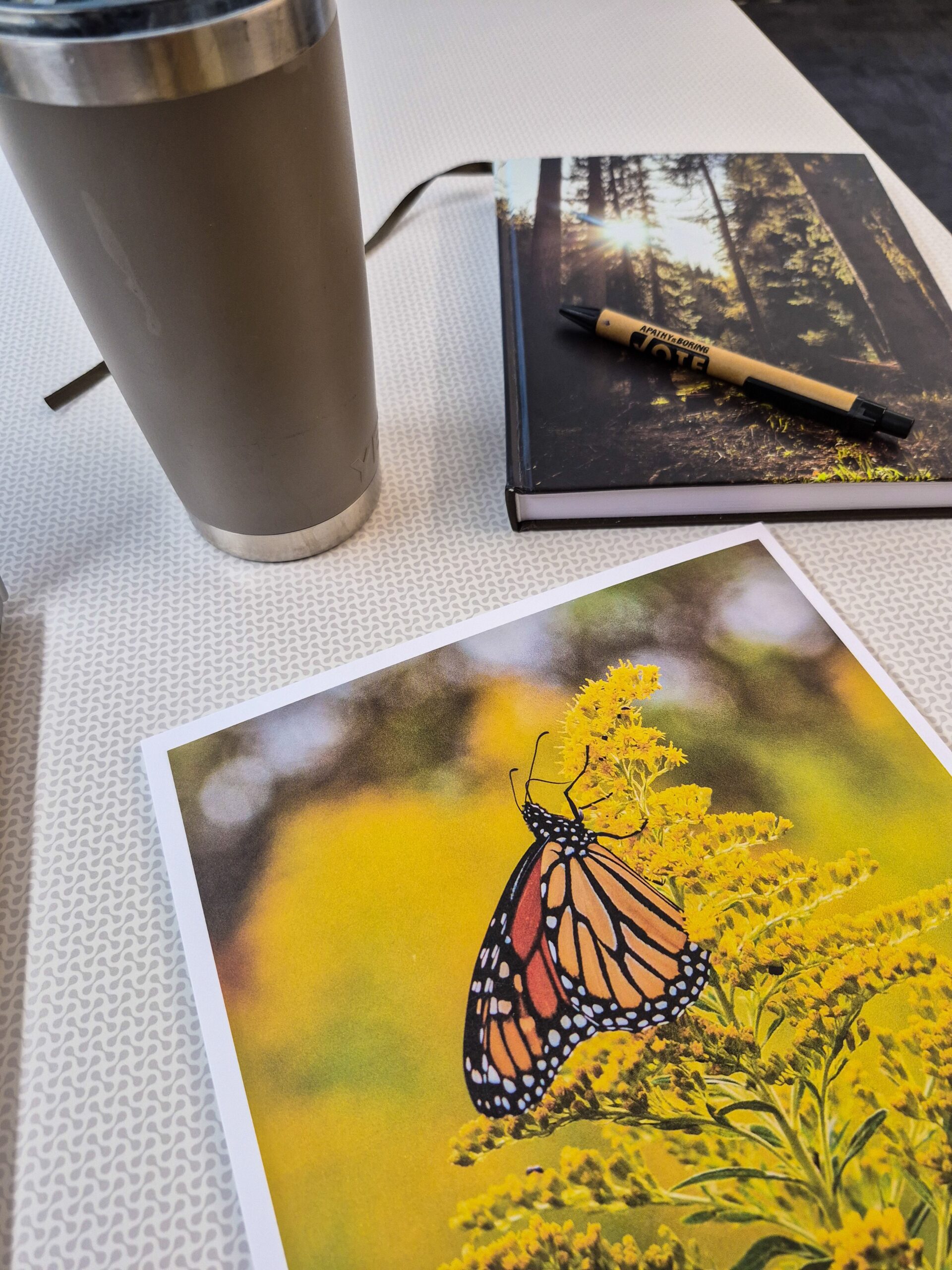 Monarch Magazine Photo