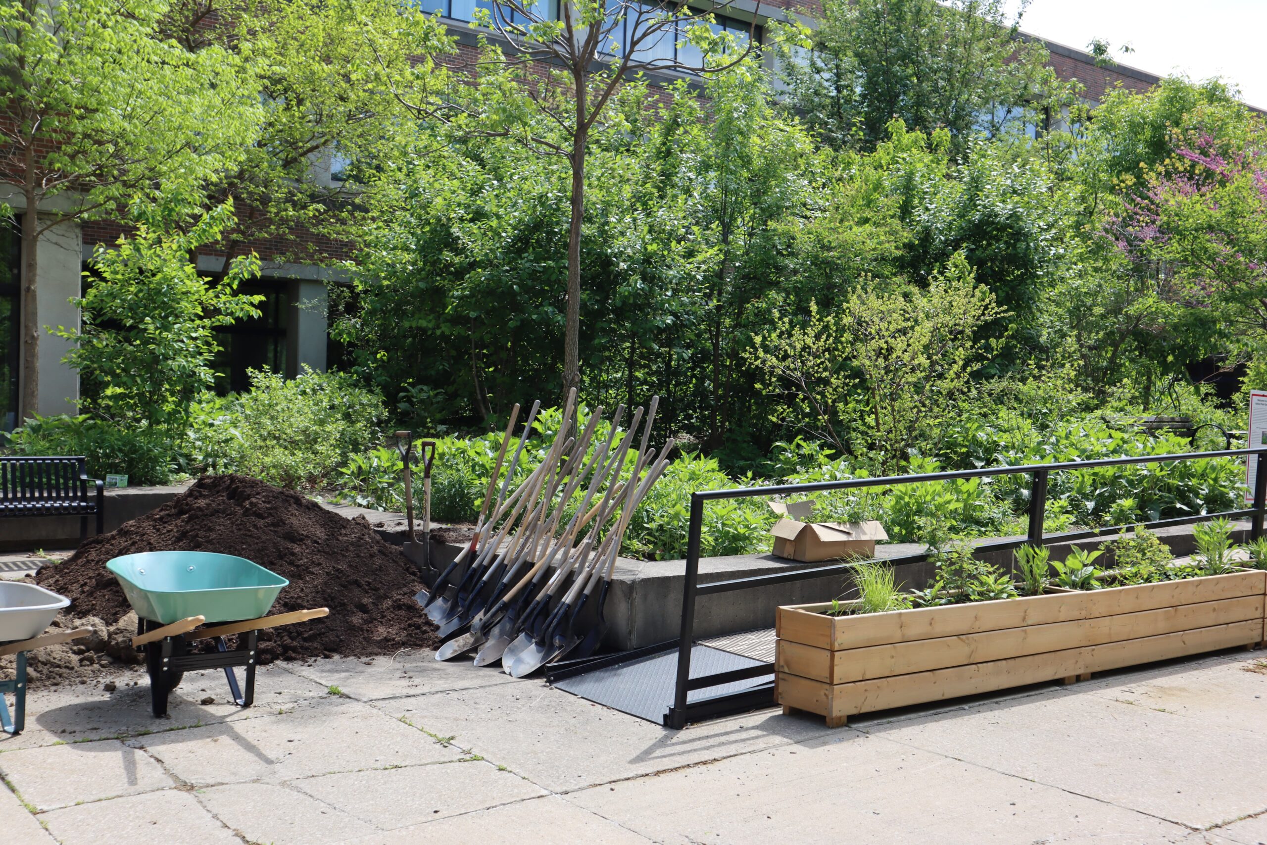 York University - Keele Campus - Go Wild Grants - 2025 - Action6