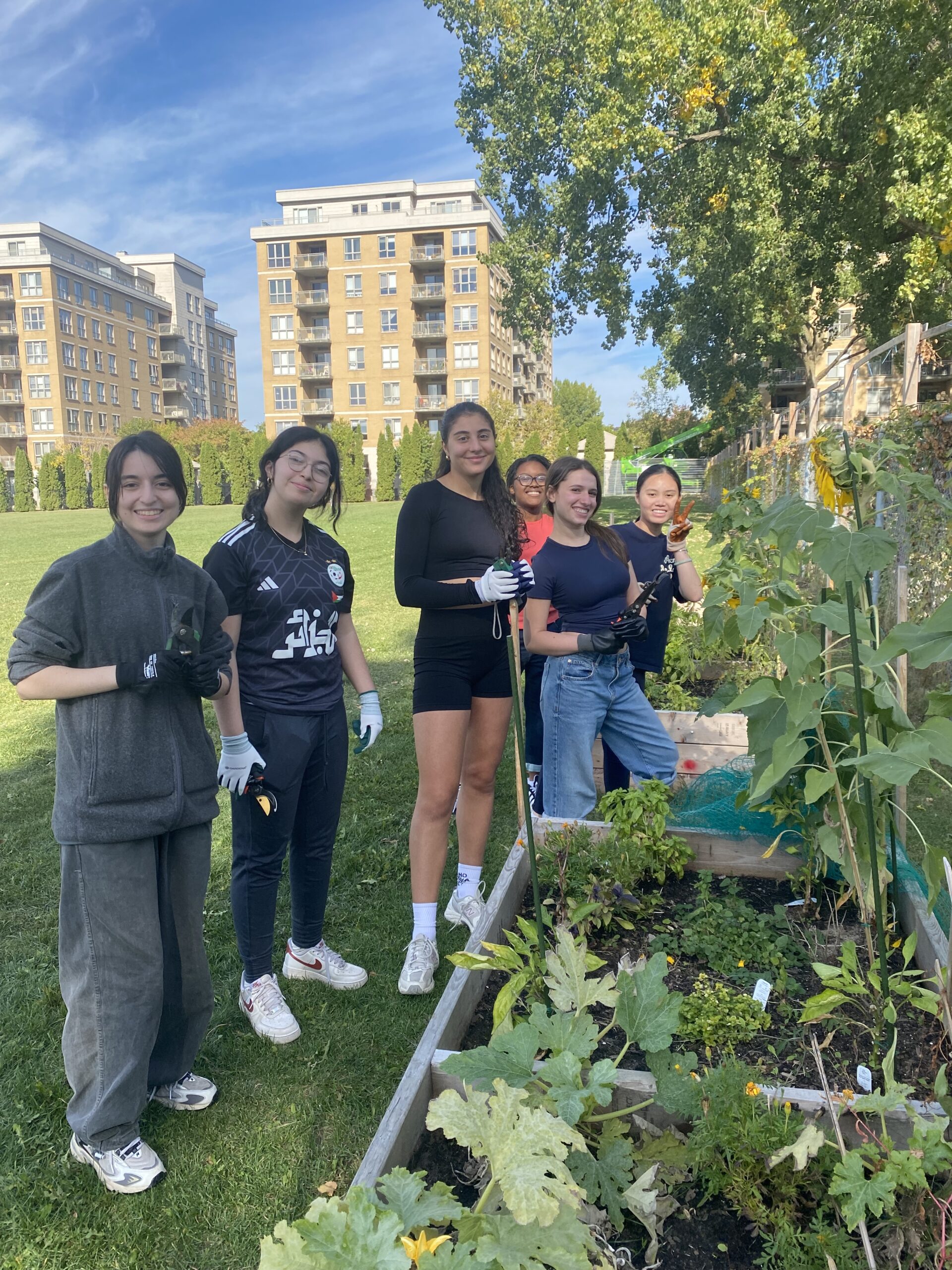 Collège André-Grasset 2 (1)