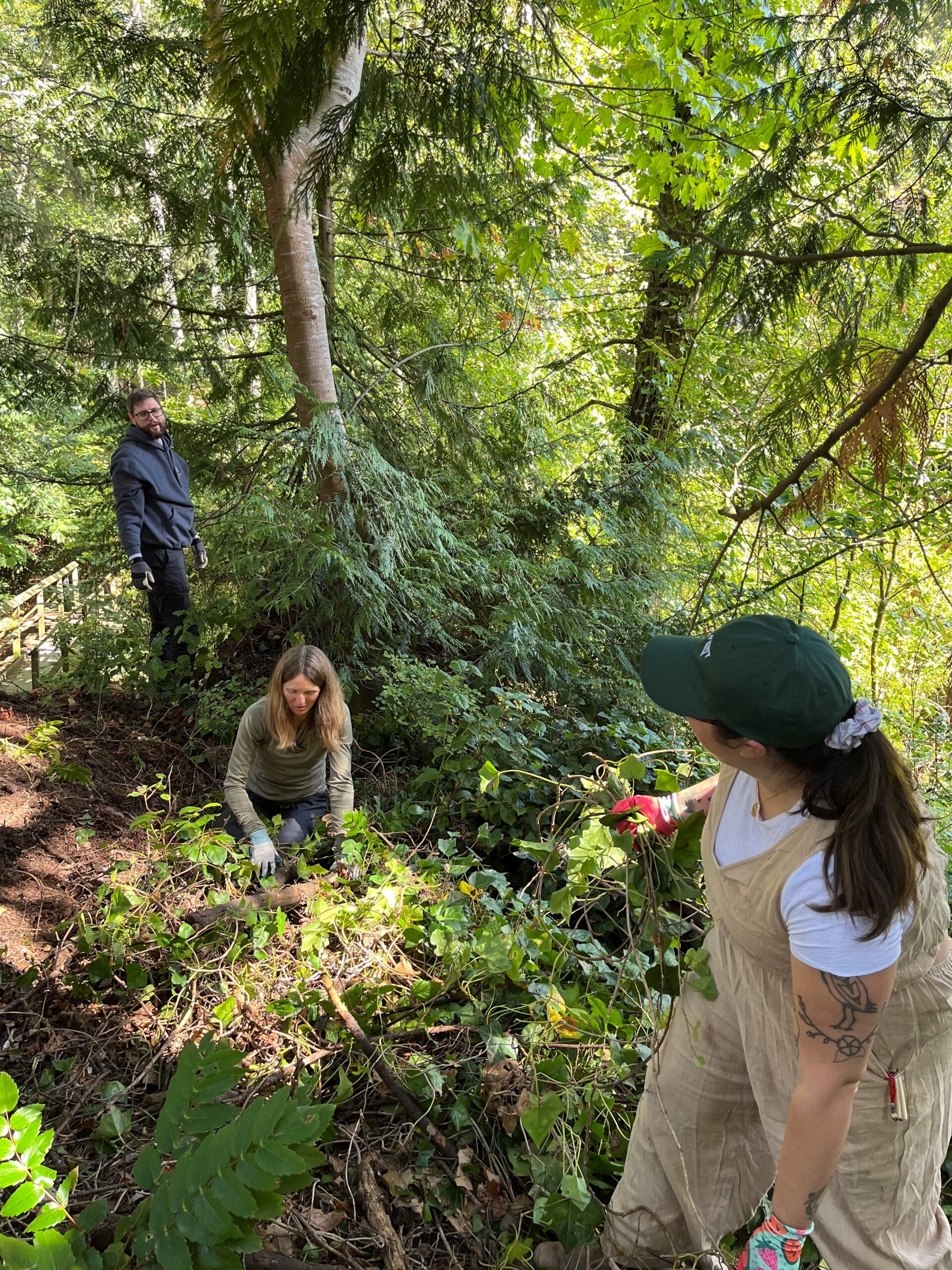 Royal Roads University_Go Wild Grants_ivy pull