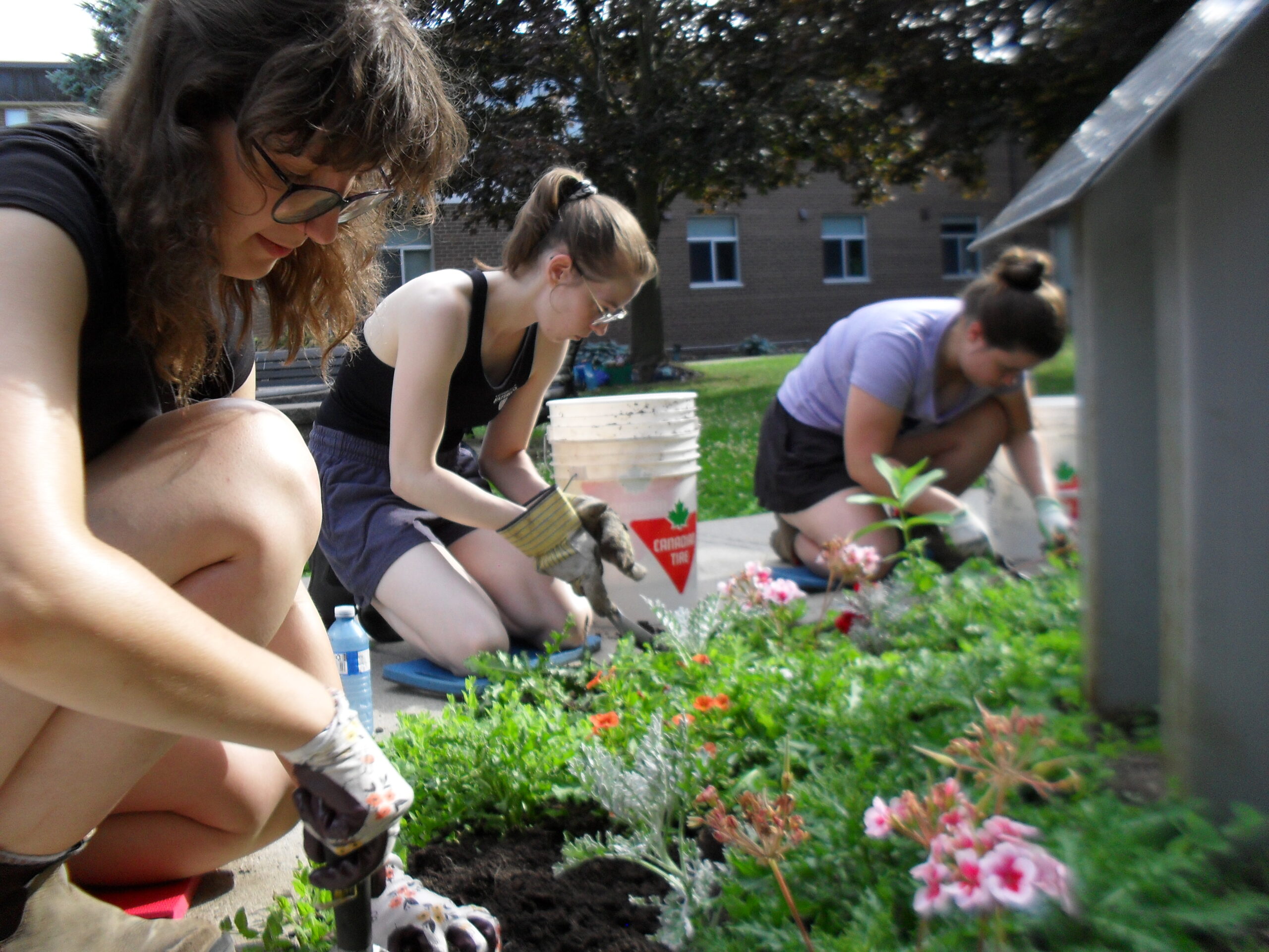 Students wearing gloves planting a native pollinator garden.