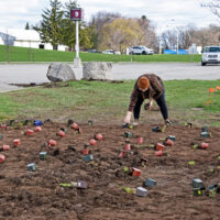 West Fennell Bioswale - Ashley Packer 3 - Earth Day 2025 planting West Fennell Bioswale - Ashley Packer 3 - Earth Day 2025 planting